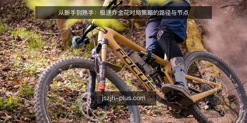 从新手到熟手：极速炸金花对局策略的路径与节点 — 极速炸金花对局前，先弄清楚牌型判断的基本路径 配图